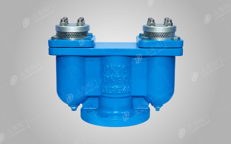 Double port exhaust valve